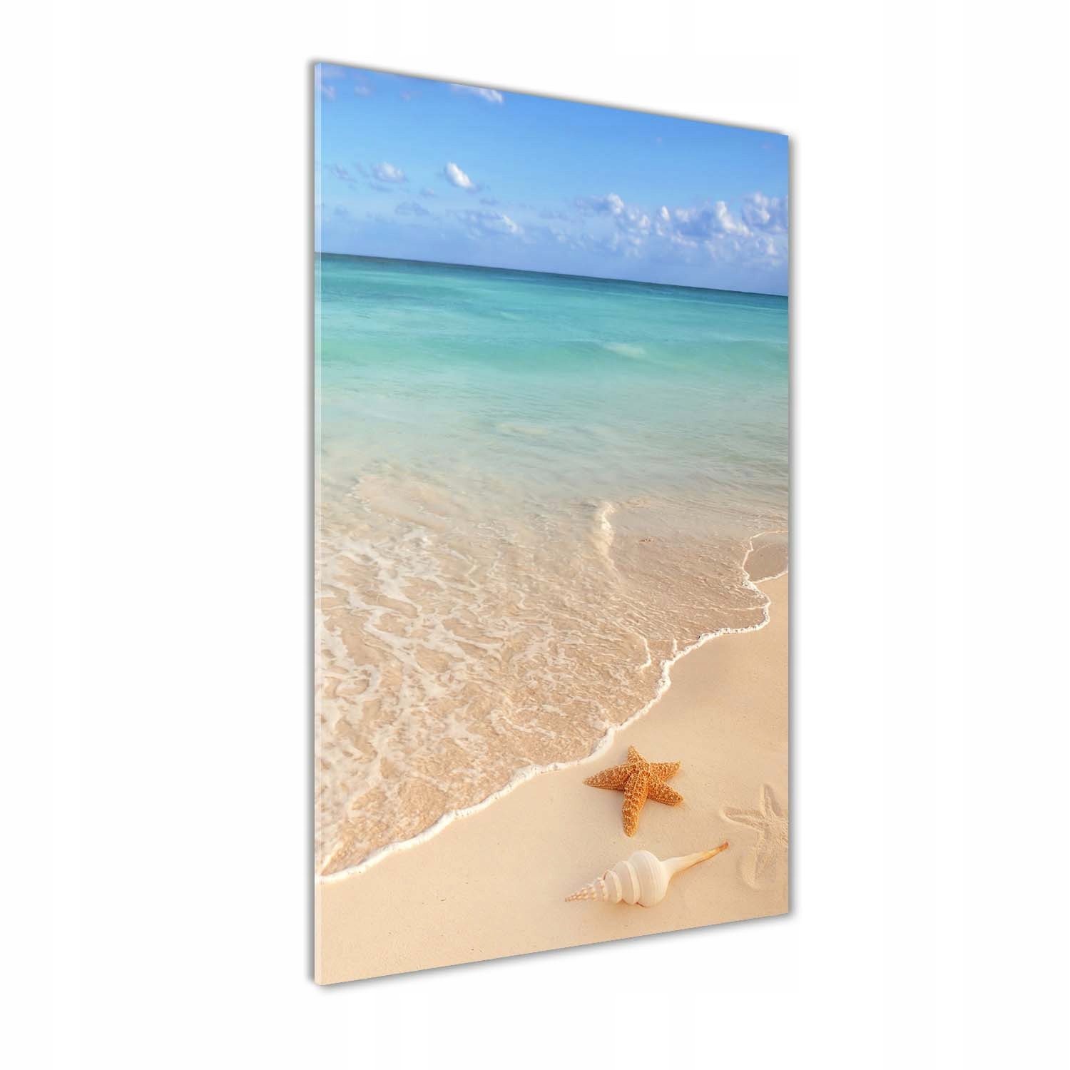 

Foto obraz na szkle Rozgwiazda na plaży 60x120 cm