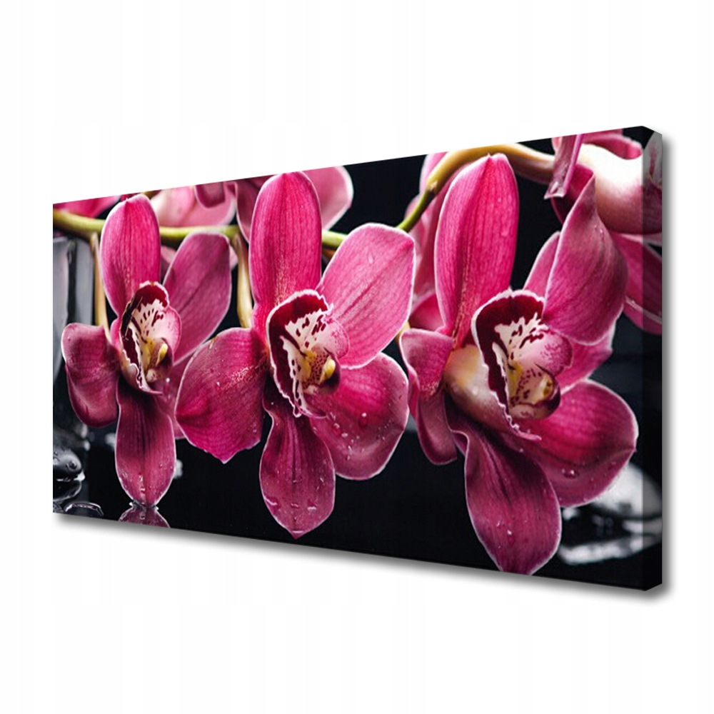 obraz na plátně Květiny Orchidej Příroda 120x60