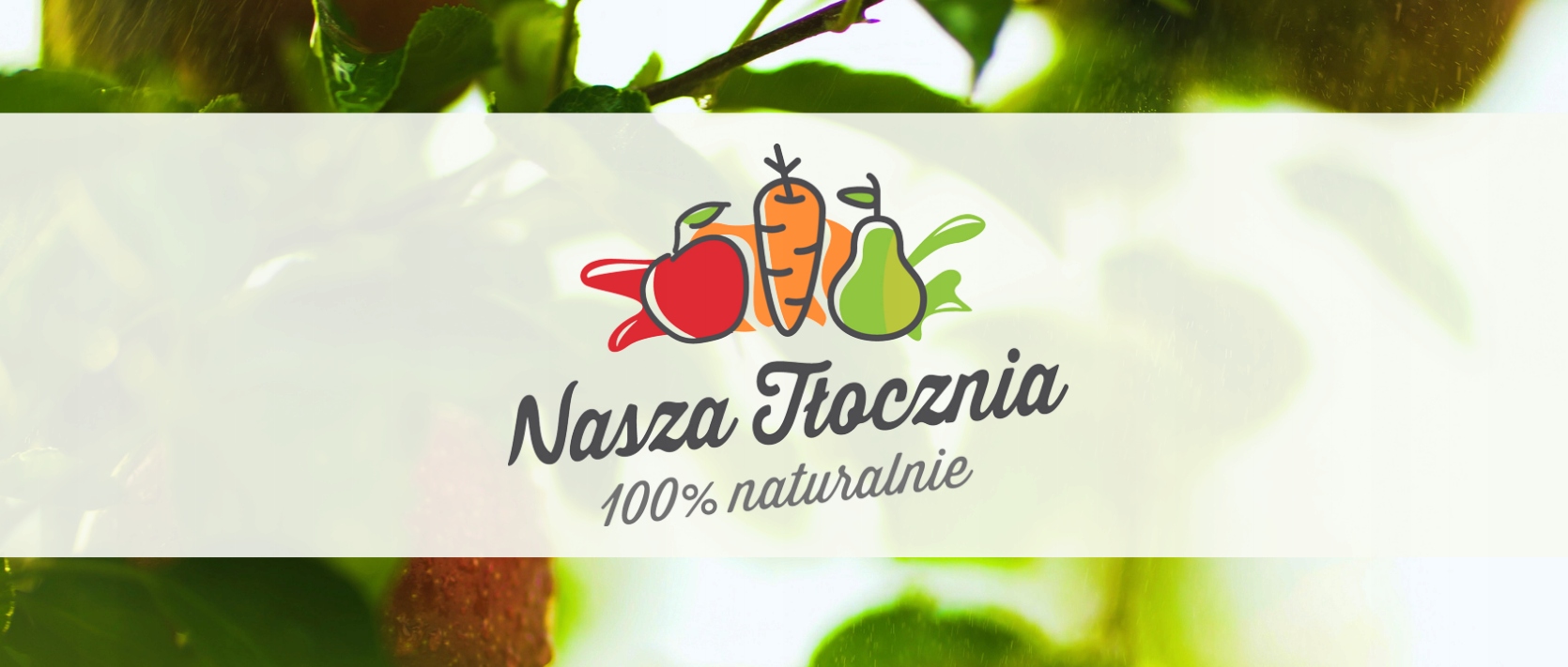 Sok z Limonki 100% Tłoczony Limonkowy NFC 330 ml Marka Nasza Tłocznia