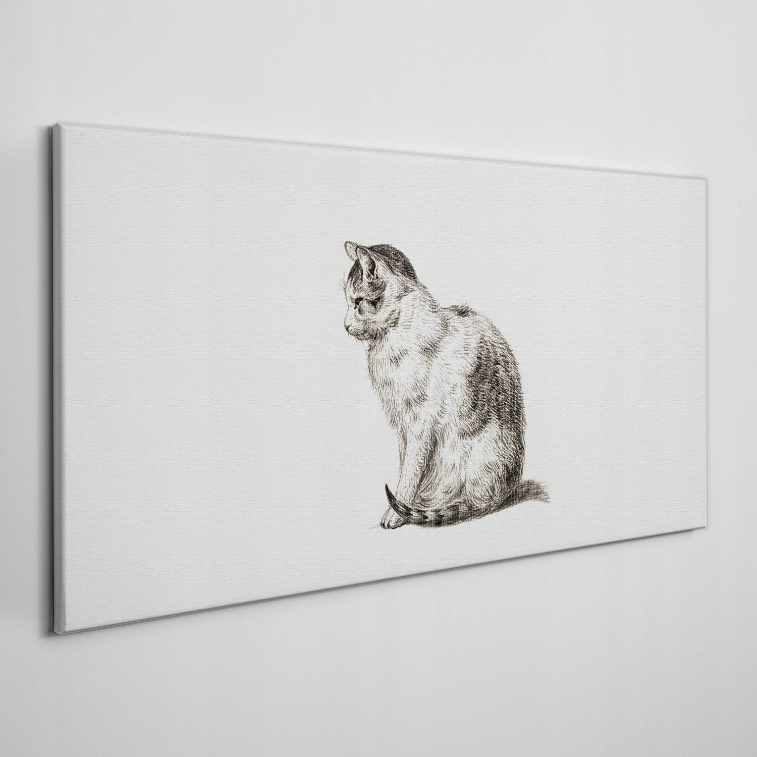 

Obraz na płótnie na ramie Zwierzę kot 140x70 cm