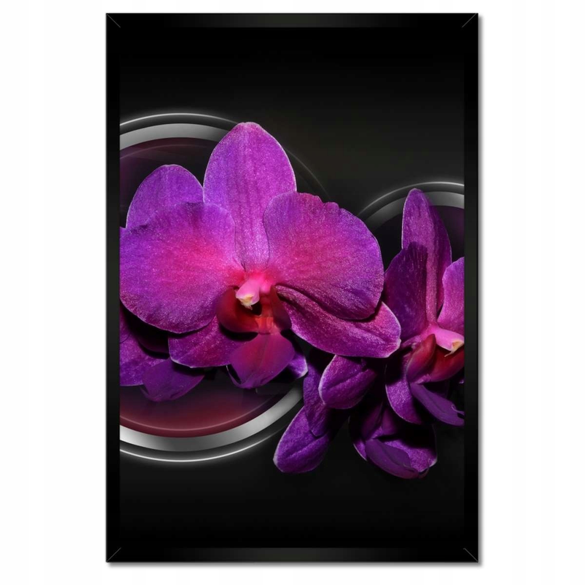 Plakáty v rámu 40x60 Fialová orchidej