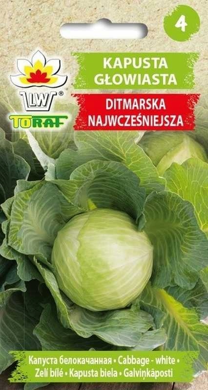 nasiona KAPUSTA DITMARSKA 2g — 2