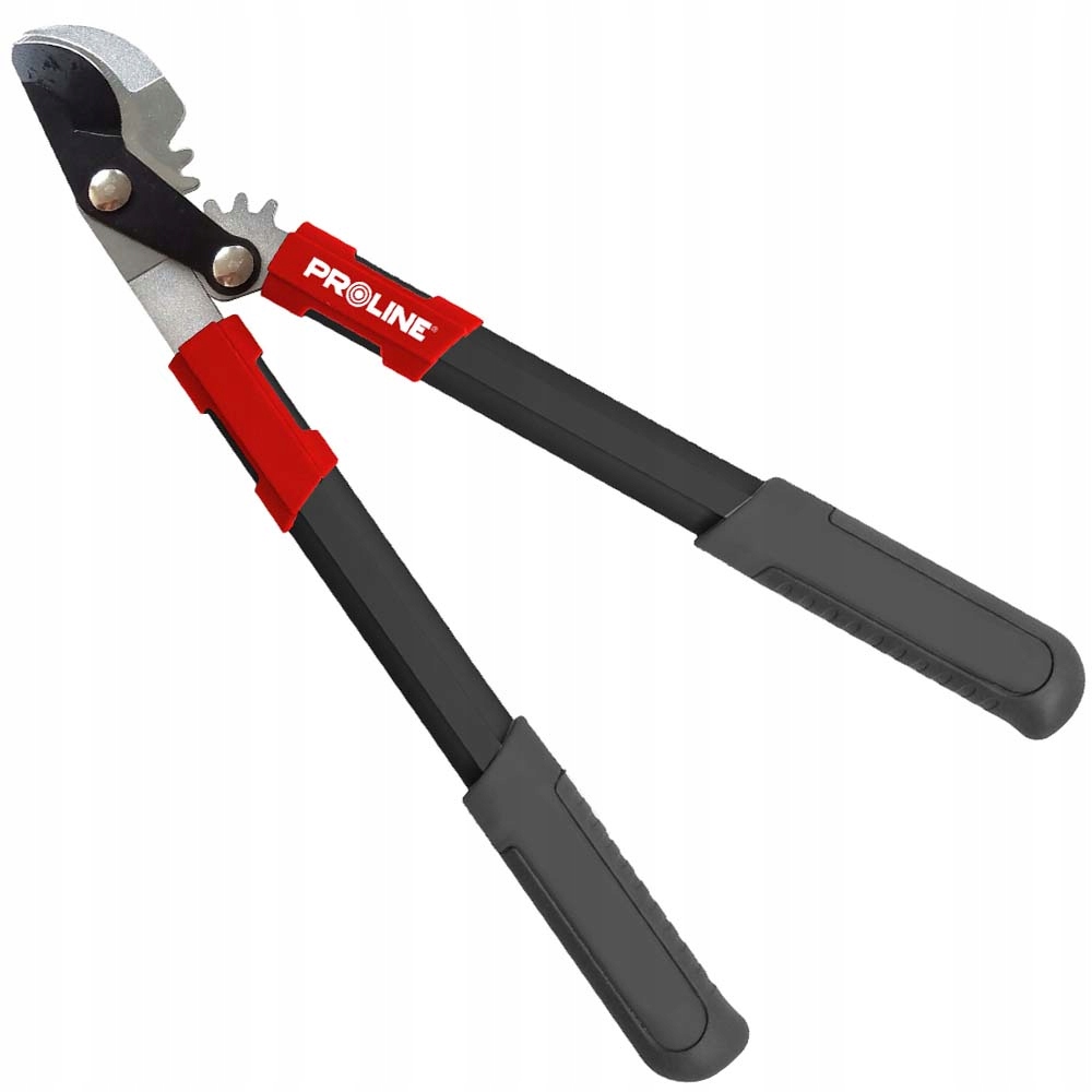 

Sekator Dwuręczny Nożyce Do Gałęzi Proline 487mm