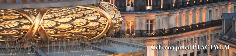 Duży kruk do lotu odstraszacz kolor oczy !! Zastosowanie przeciwko ptakom