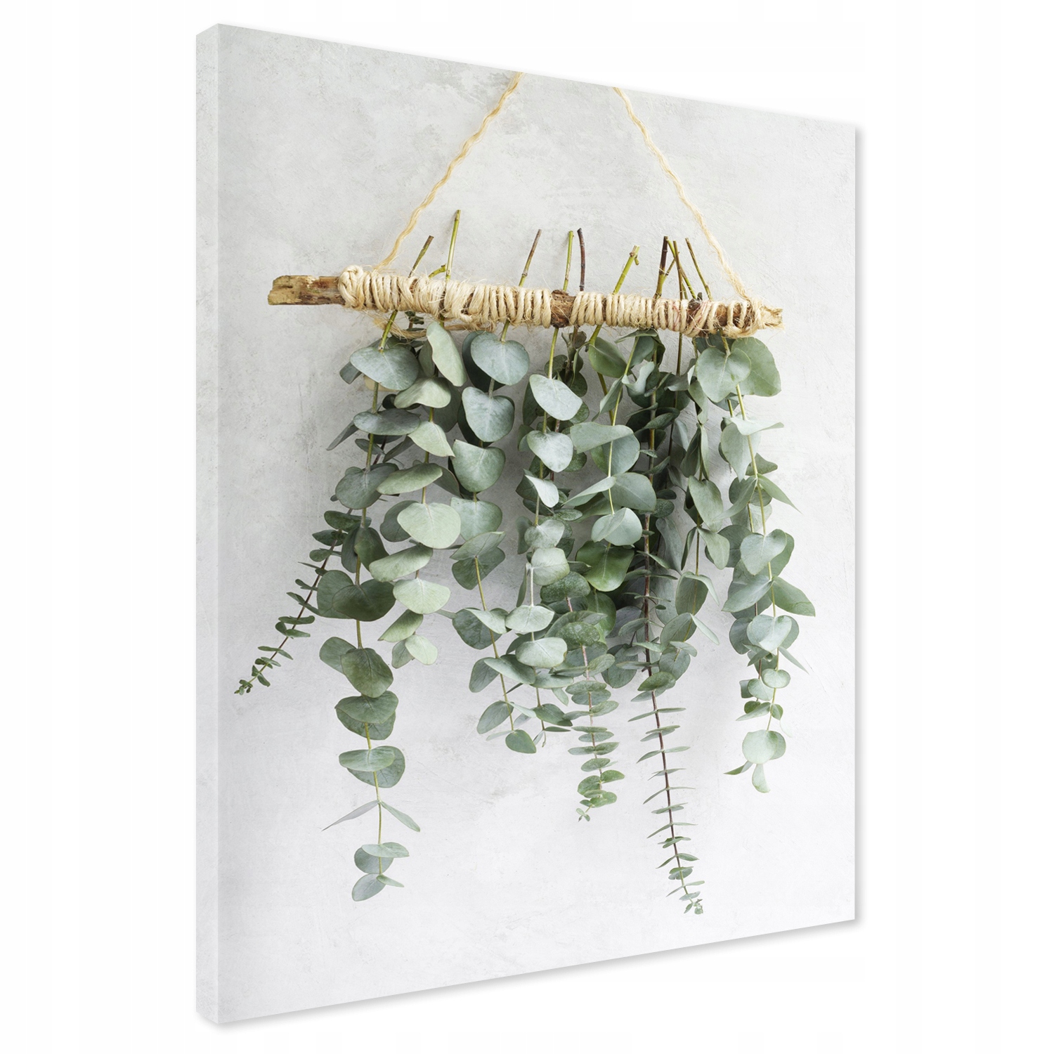 

Obraz na płótnie eukaliptus liście 50x70