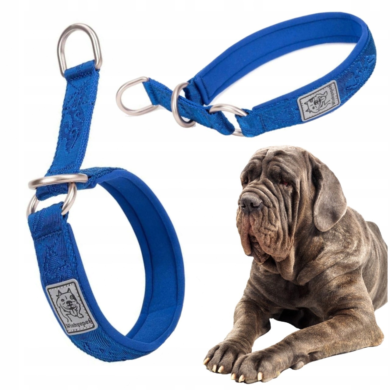 Obojek Pro Psa Polostahovací, Pevný, Komfortní, Winhyepet, Modrý, 3XL