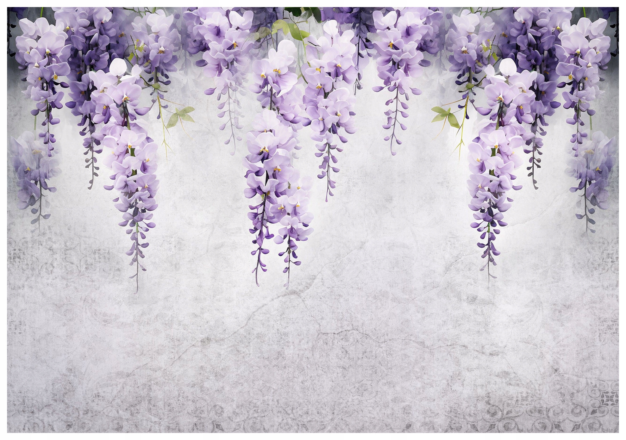 Fototapeta Wisteria Květiny vinylová jemné pozadí 416x254 lepidlo