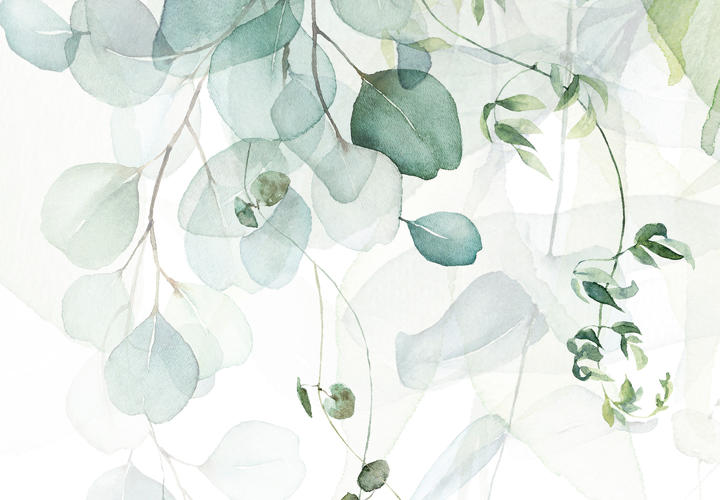 FOTOTAPETA LIŚCIE NATURA 350x256 b-C-0615-a-b Kod producenta b-C-0615-a-b_350x256_ft