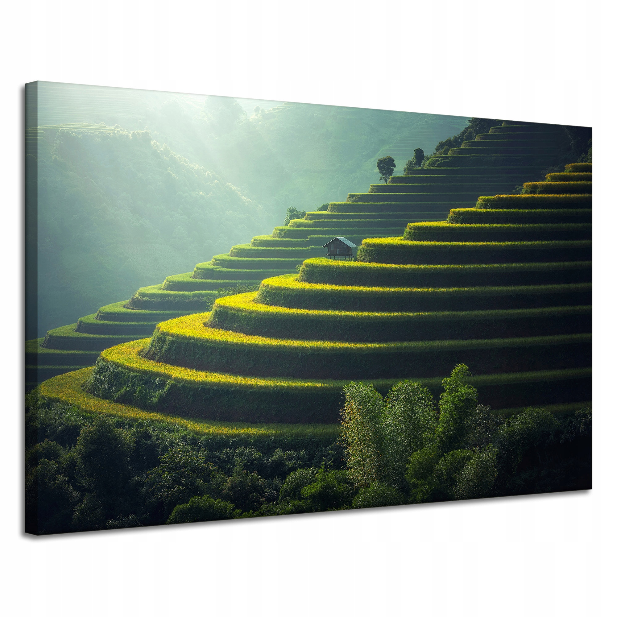 Obraz Canvas Příroda Krajina Zemědělské terasy 120x80