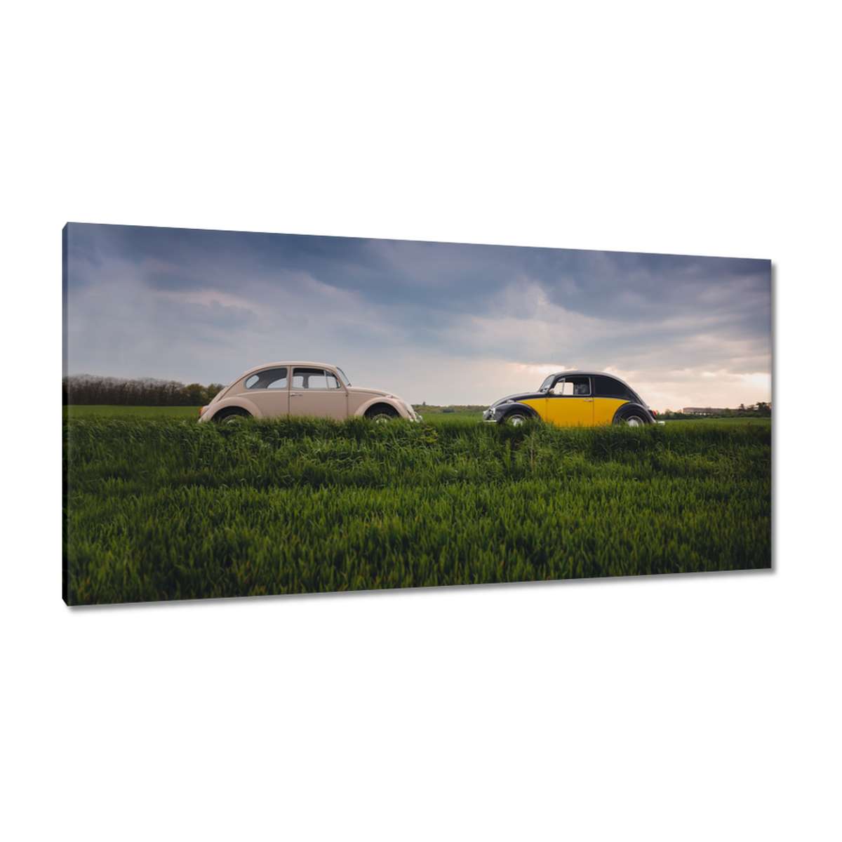 Obrazy 115x55 Garbusy Volkswagen