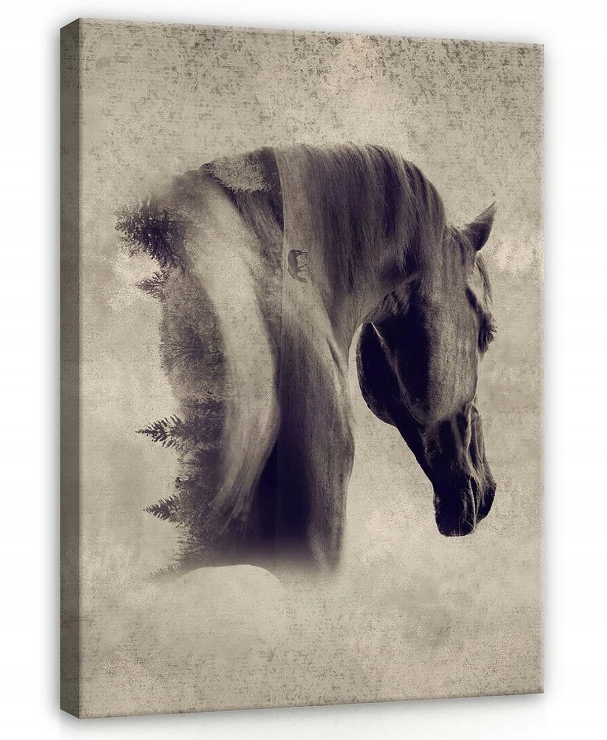 Obraz Na Plátně Canvas 75x100 Kůň Portrét Vintage