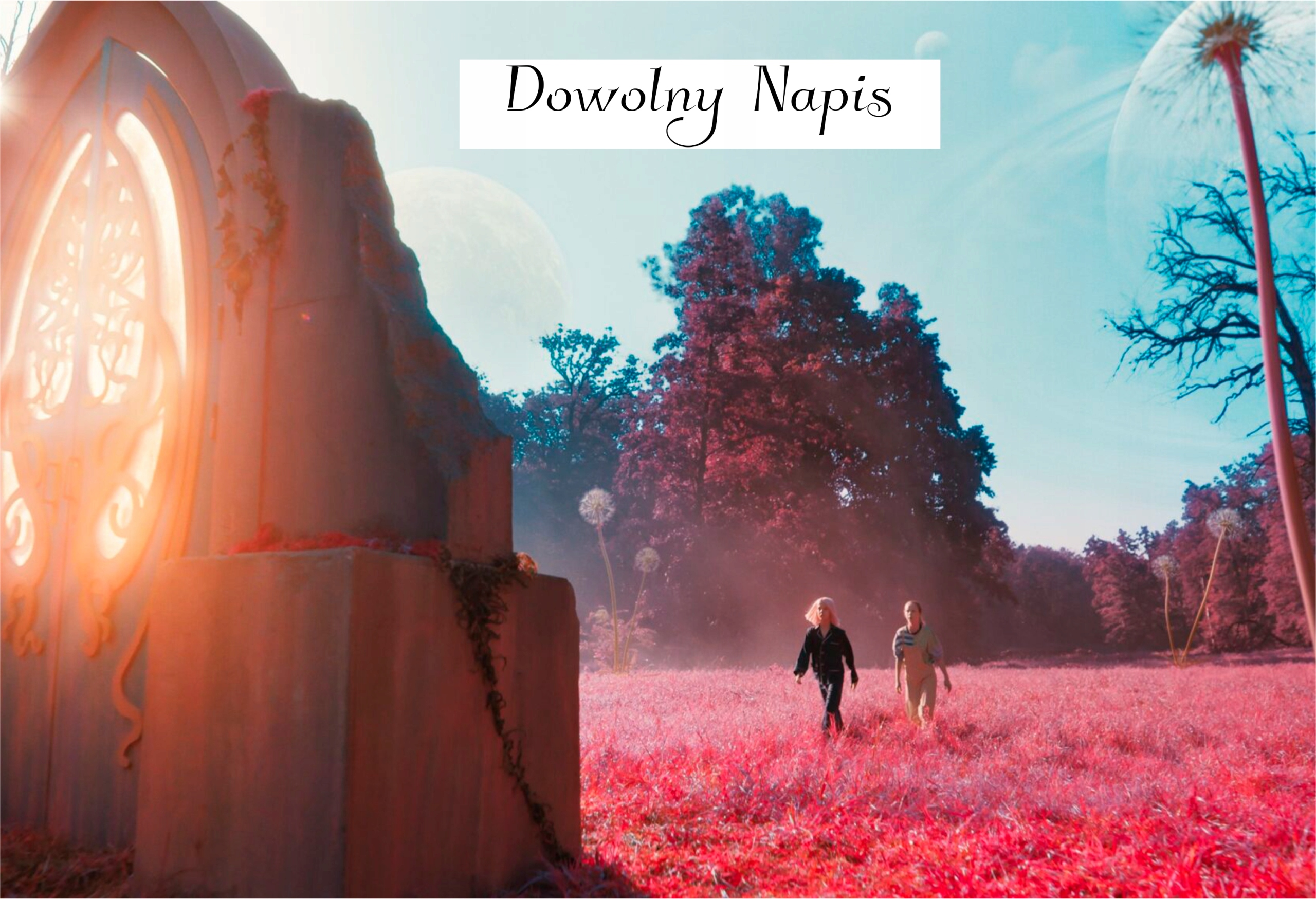 PODUSZKA AKADEMIA PANA KLEKSA + DOWOLNY NAPIS - GRATIS! WZORY Marka inna