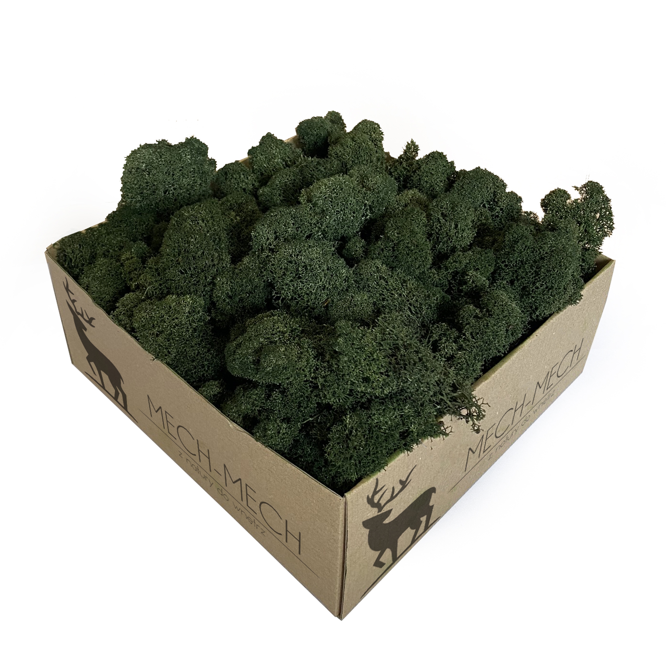 

Mech chrobotek Fiński 500g Ciemna Zieleń