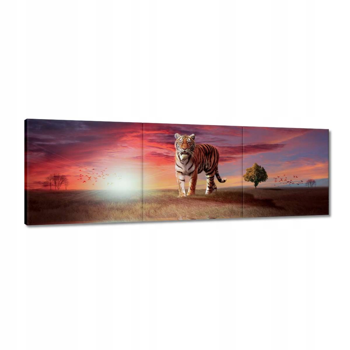 Obrazy 120x40 Tygr
