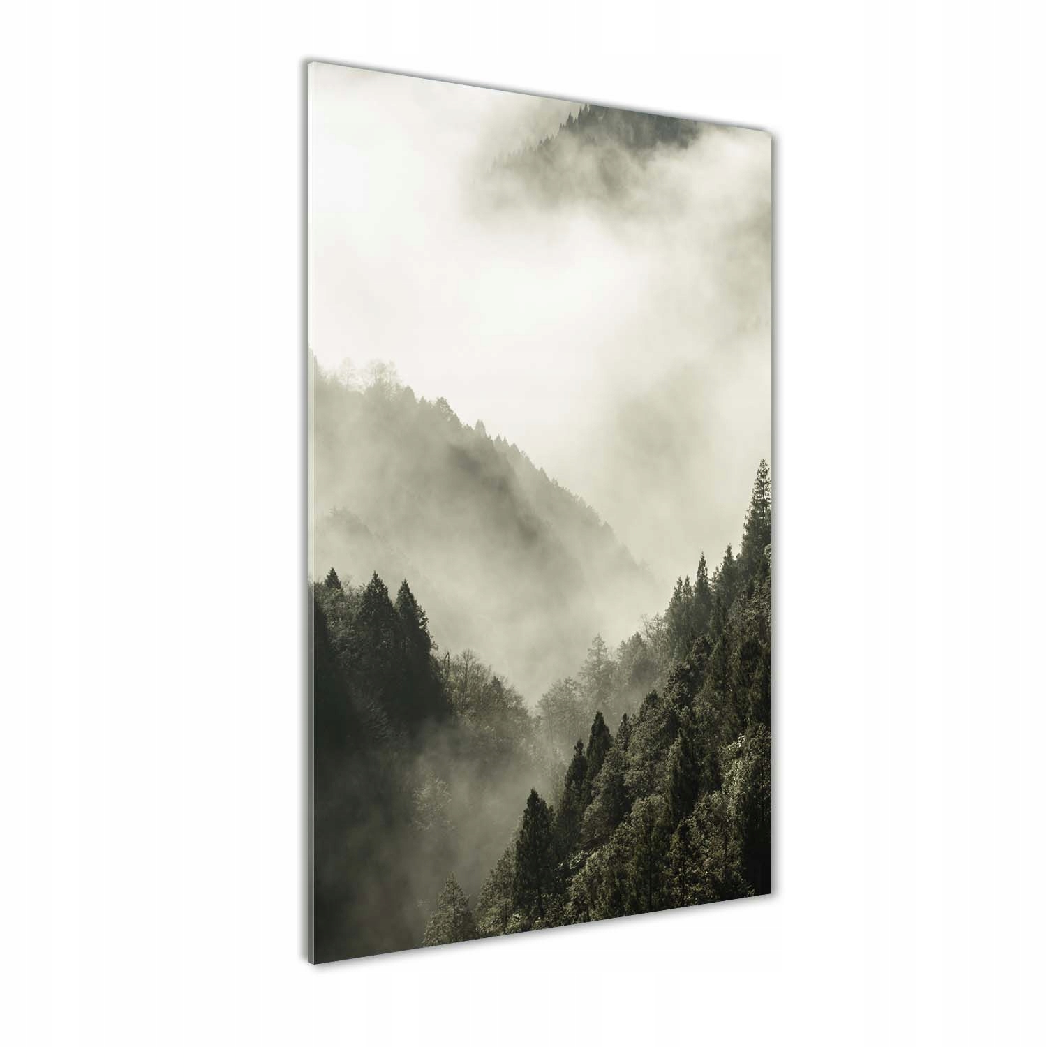 

Foto obraz akryl do salonu Mgła nad lasem 50x100cm