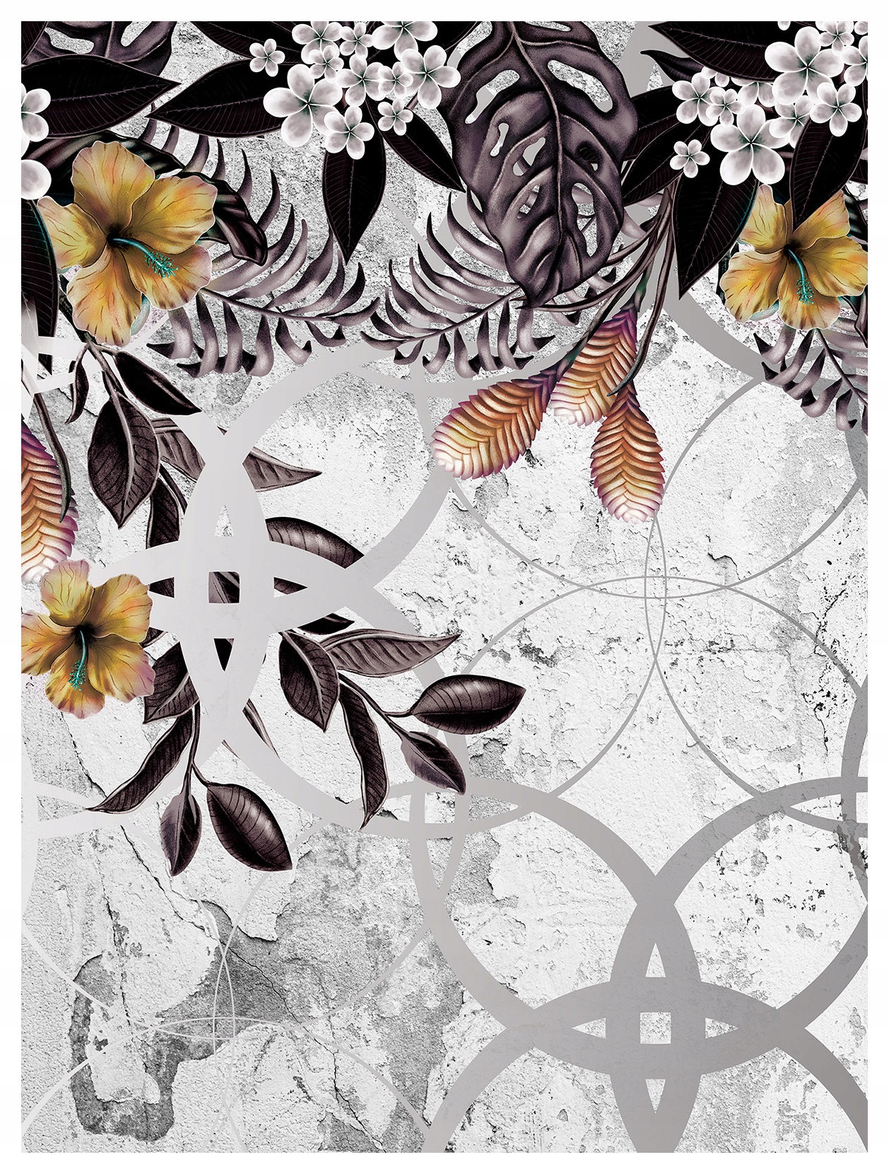 Fototapeta Tropické listy ibišteka vinylová geometria 184x254 lepidlo