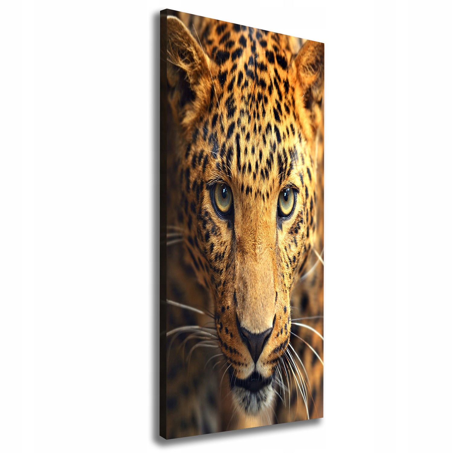 

Nowoczesny obraz canvas na ramie Lampart 50x125 cm