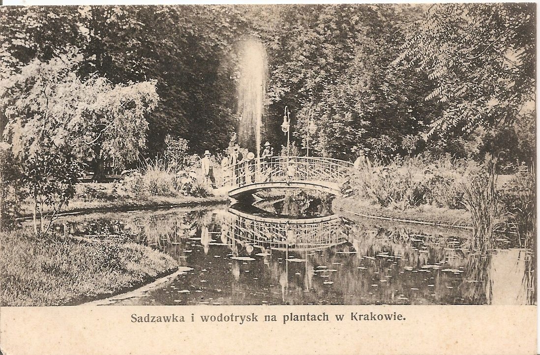 KRAKÓW -SADZAWKA I WODOTRYSK NA PLANTACH