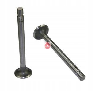 300 300 - Выпускной клапан C-360 оригинал URSUS-kpl. 4 шт