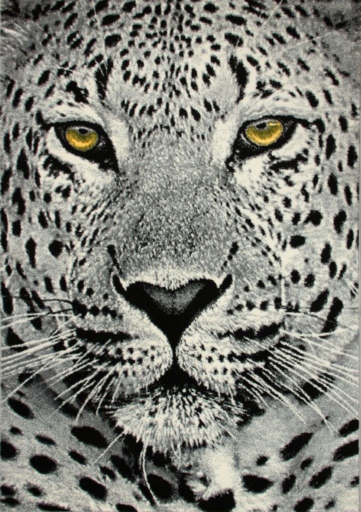 

Dywan Koloreo Pantera Młodzieżowy 120x170