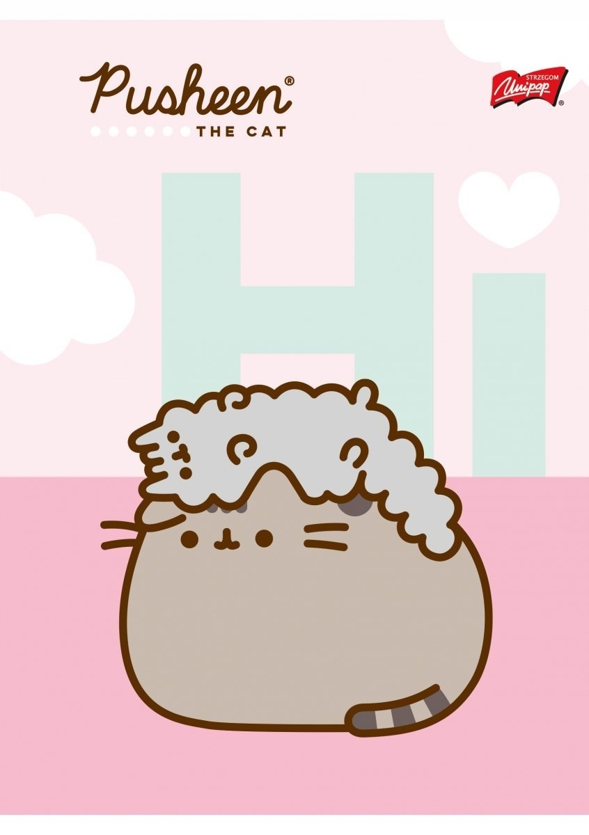 4x Zeszyt A5 w kratkę 32 kartki PUSHEEN Kot Kotek PUSZIN Liczba kartek 32 szt.