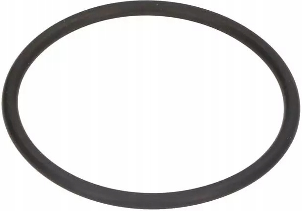ELRING USZCZELKA TERMOSTATU 382550