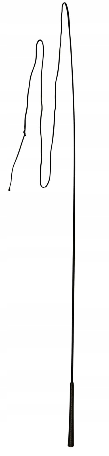 Bat Do Lonżowania Dla Konia Czarny 180cm Covalliero