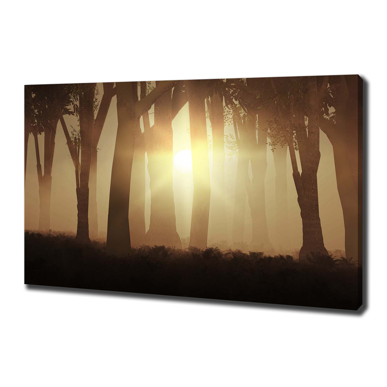 

Duży foto obraz na płótnie Mgła w lesie 100x70 cm