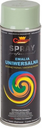 

Spray Uniwersalny RAL6019 Zielony Pastelowy 400ml