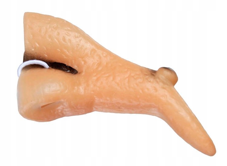

Nos Czarownicy Wiedźmy Długi Pieprzyk Haczyk 10 CM