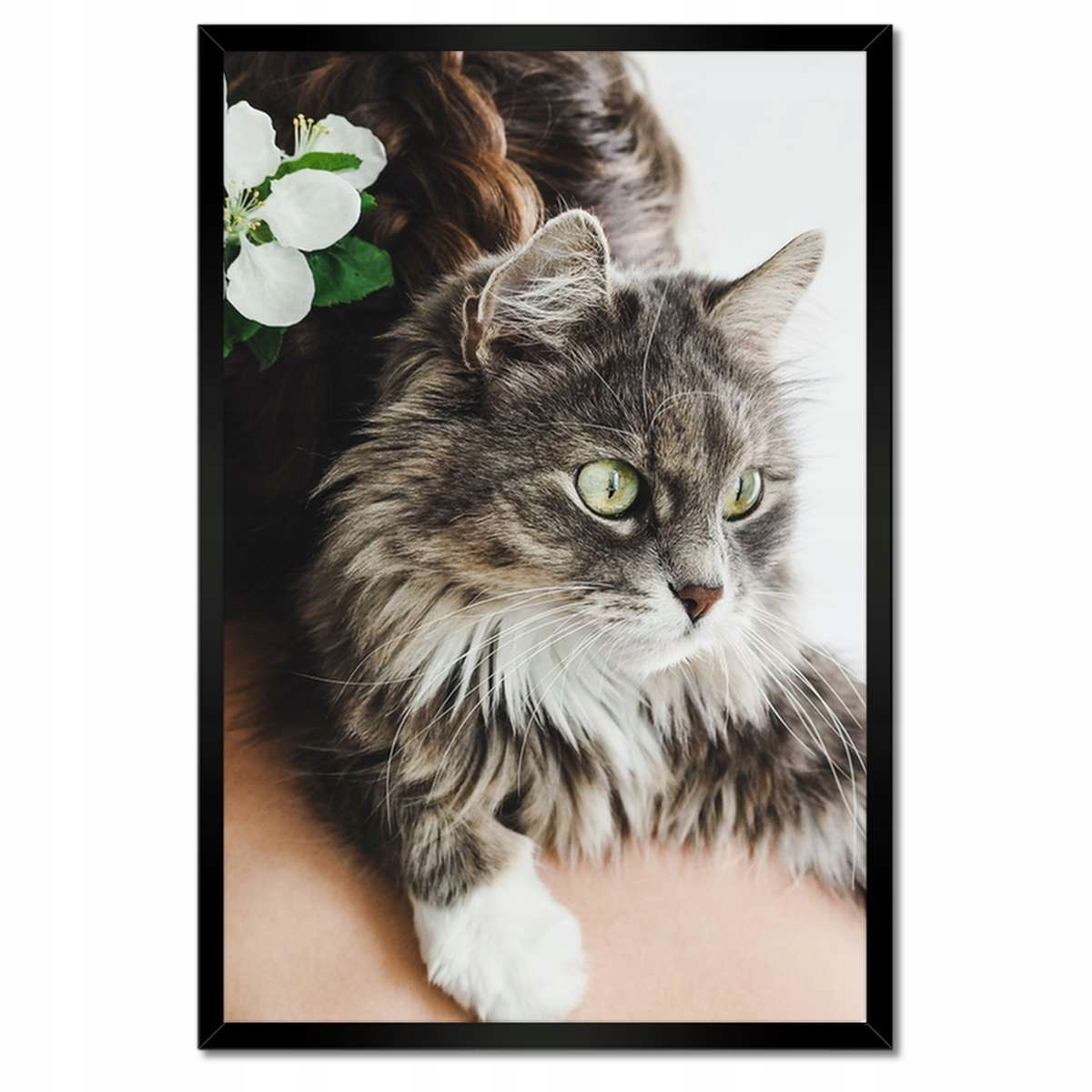 Plakáty v rámu 40x60 Kočka Kotě Kočky Kočka