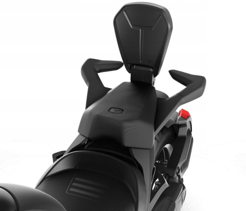 Спинка Can-Am Ryker 219400843