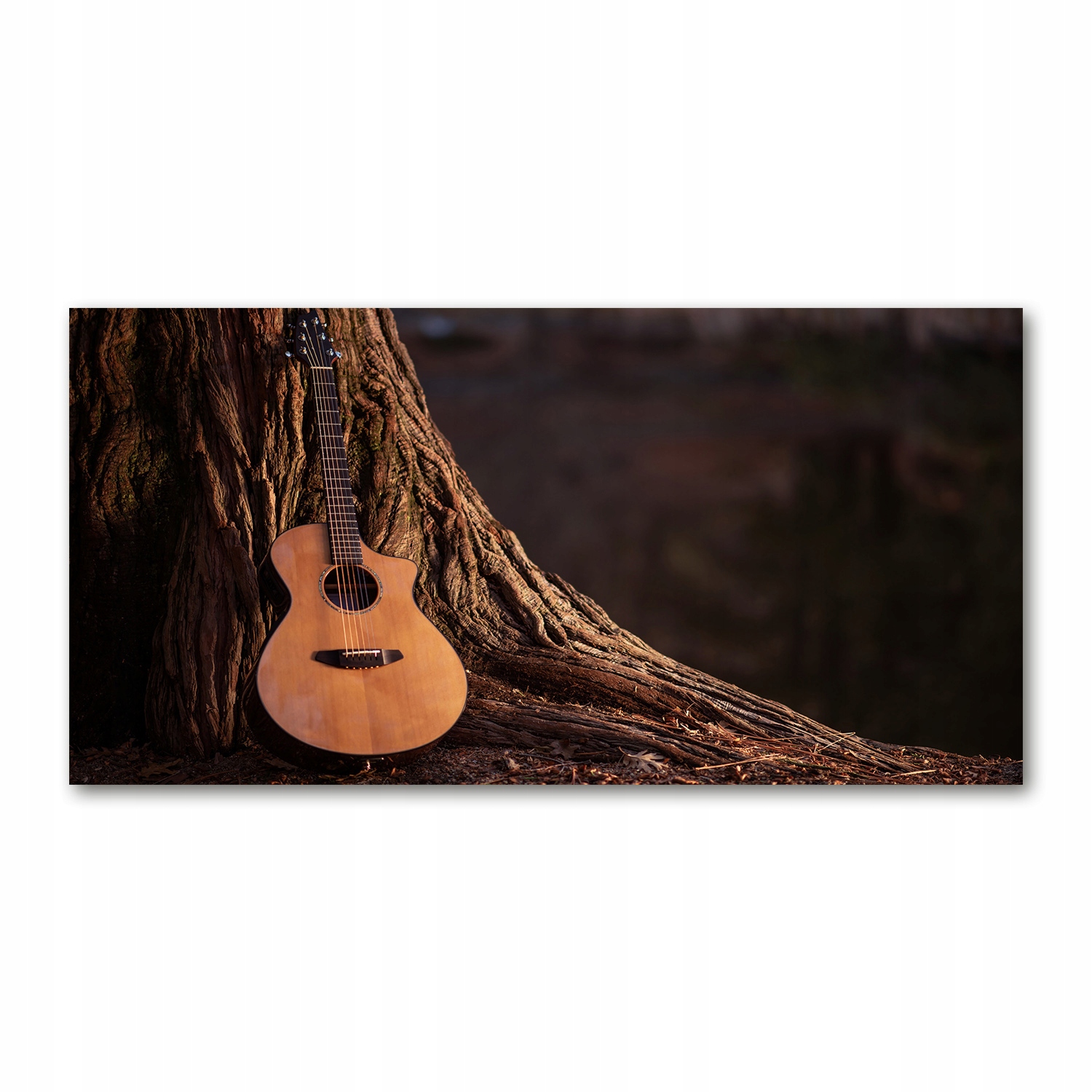 

Foto obraz szkło akryl Gitara akustyczna 120X60 cm