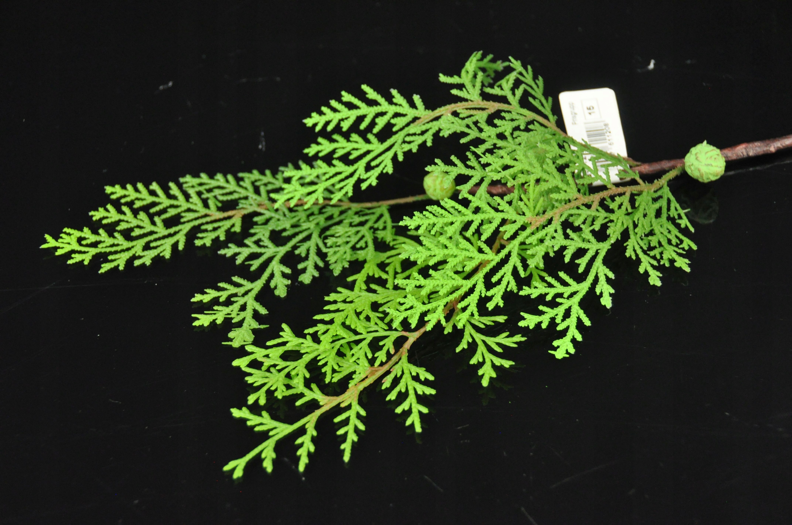 CYPRYS GAŁĄZKA SZTUCZNA Kod producenta dekoradom.pl