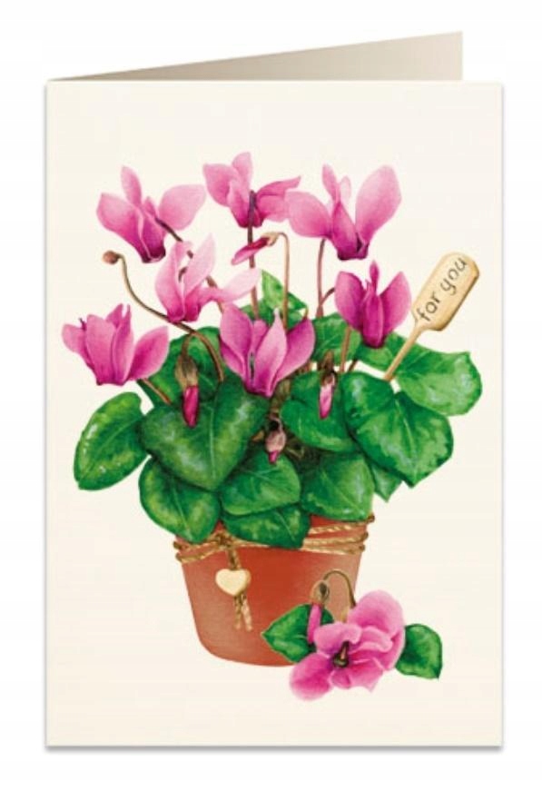 KARNET B6 + KOPERTA 5756 CYKLAMEN