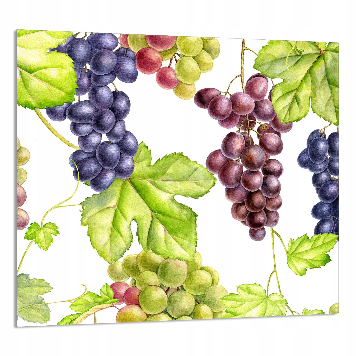 Skleněný Panel Do Kuchyně 65x60 Ovoce Tvrzené Sklo