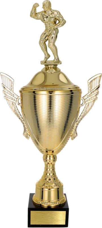 

Piękny puchar z figurką Kulturystyka 34cm +grawer