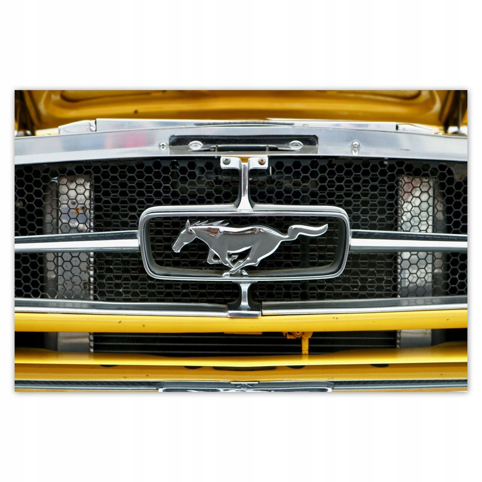 

Plakaty 93x62 Znak Ford Mustang