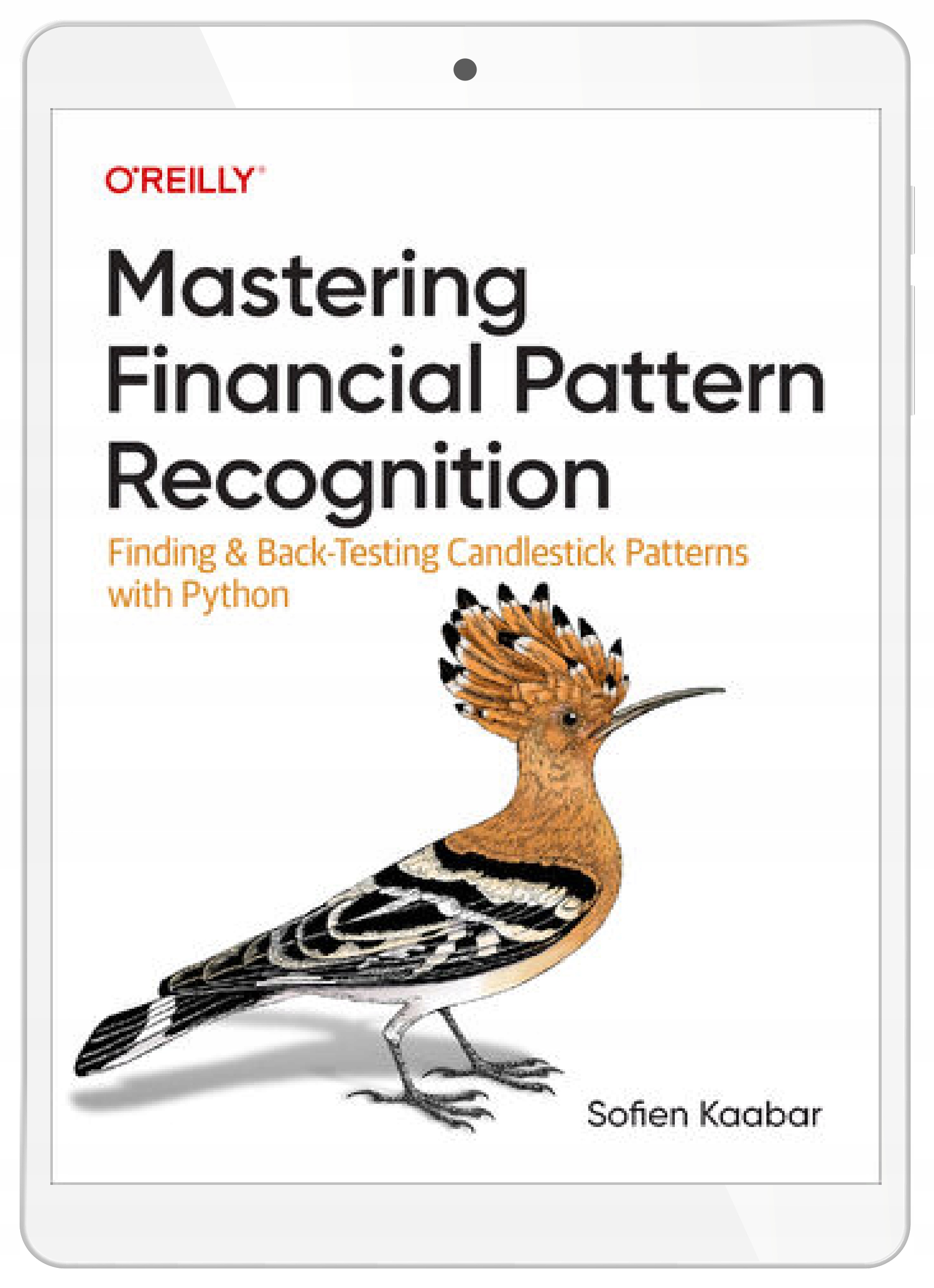 Mastering Financial Pattern Recognition