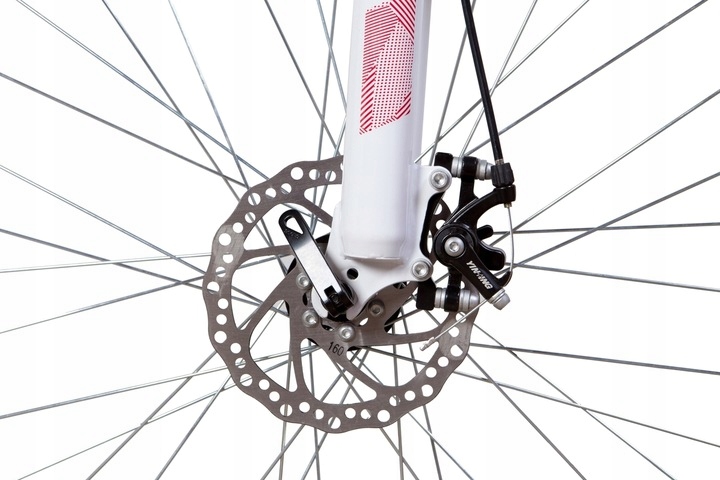 ROWER GÓRSKI MTB 29 SHIMANO RAMA 19, 21 CALI HAMULCE TARCZOWE 21 BIEGÓW Hamulce tarczowe mechaniczne