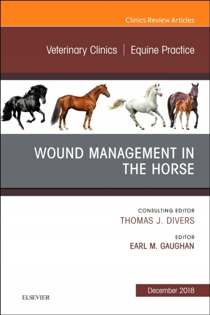 Wound Management in the Horse, An Issue of