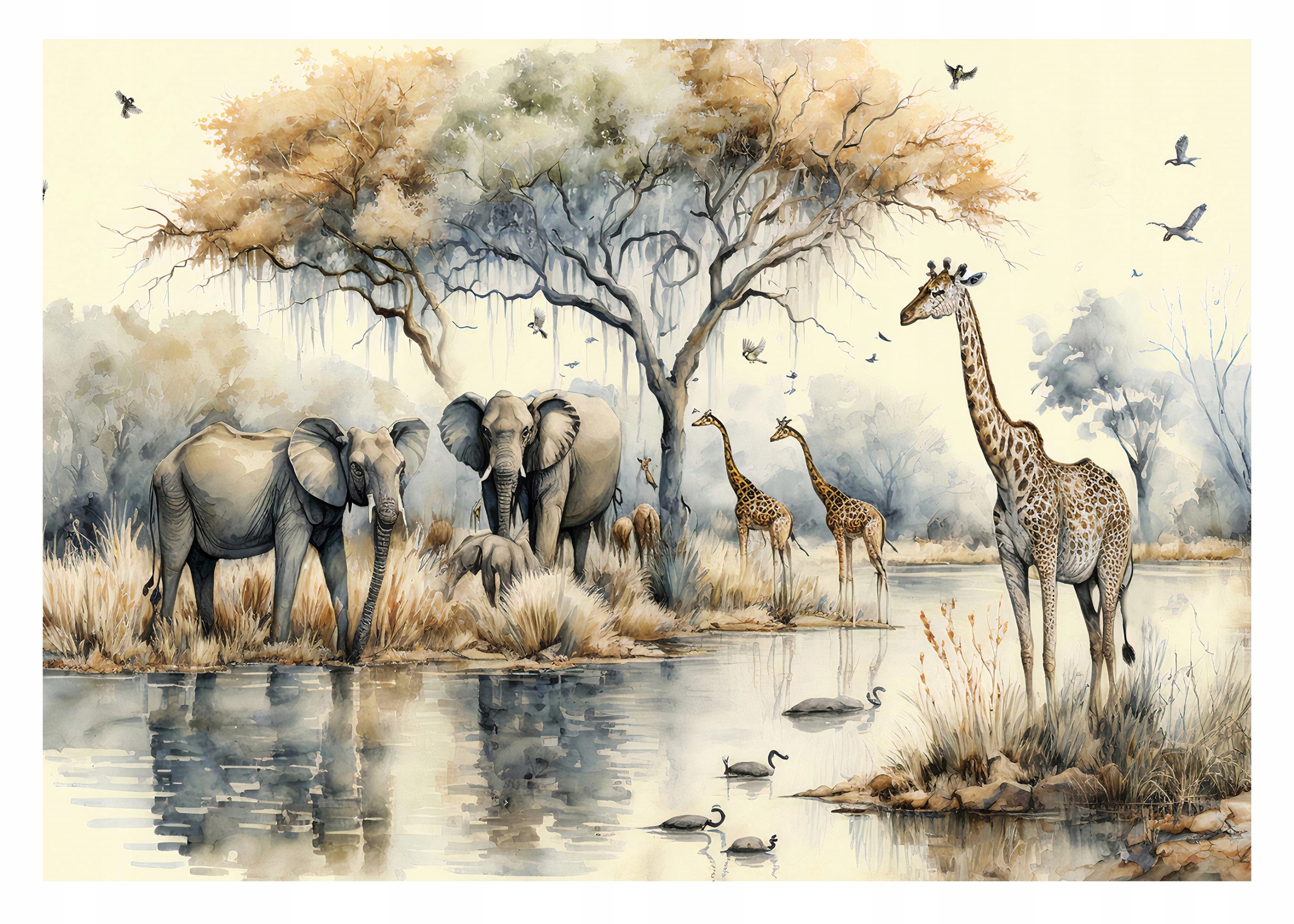 Fototapeta Džungle Safari Dítě Slon 208x146