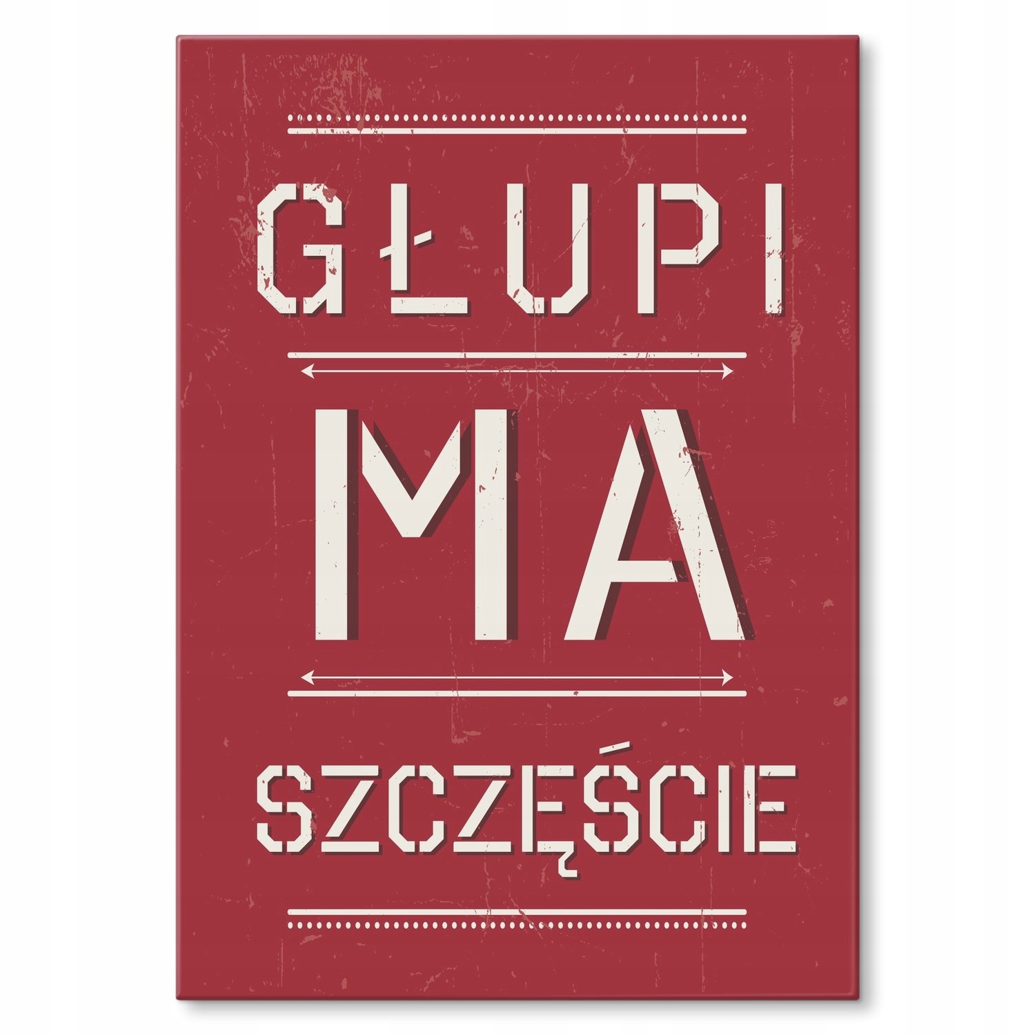 Kovový plakát hloupý má štěstí Dárek 22 x 31 cm