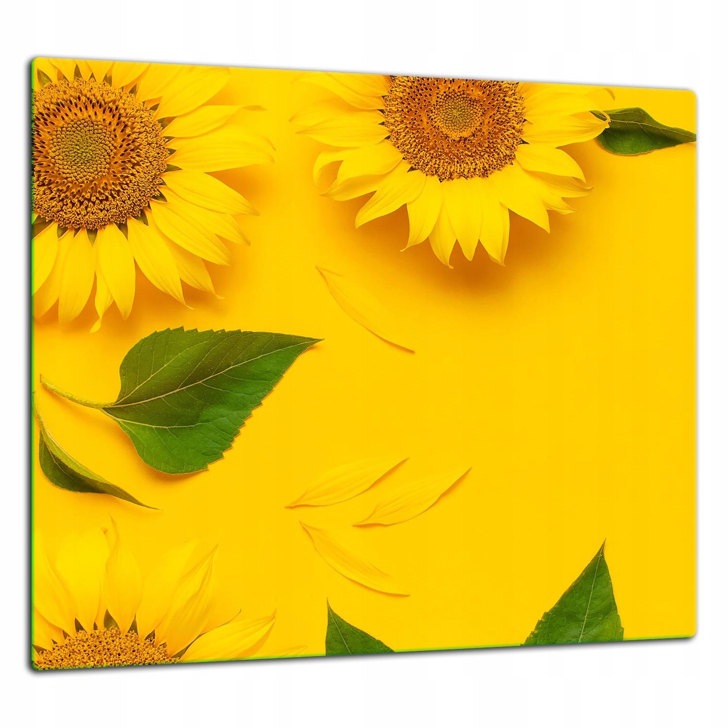 Skleněná Ochranná Deska Panel Lepidlo 65x60 Květ Lacobel 7v1