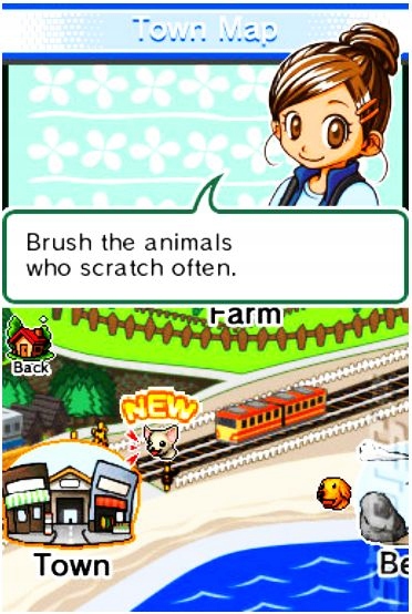 Animal Paradise - Nintendo DS. Tematyka przygodowe
