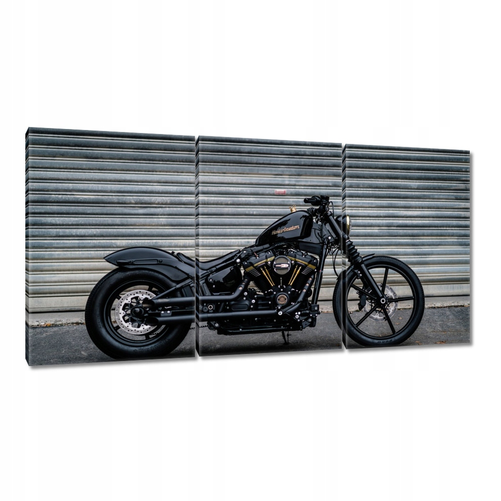 

Obrazy 240x120 Harley Davidson Motocykl