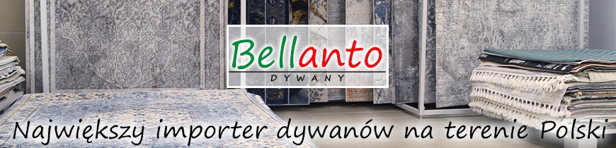 MODNY DYWAN KREMOWY SZARY VALENCIA NOWOCZESNY MIĘKKI DO SALONU 140x200 Grubość 8 mm