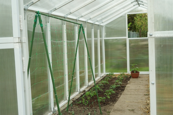 100x Tyczka PODPORA palik DO roślin POMIDORÓW kwiatów STAL powlekana 120 cm EAN (GTIN) 5907544421900