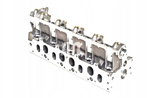 AMC GŁOWICA CYLINDRÓW OPEL ARENA RENAULT CLIO II KANGOO KANGOO Producent części AMC