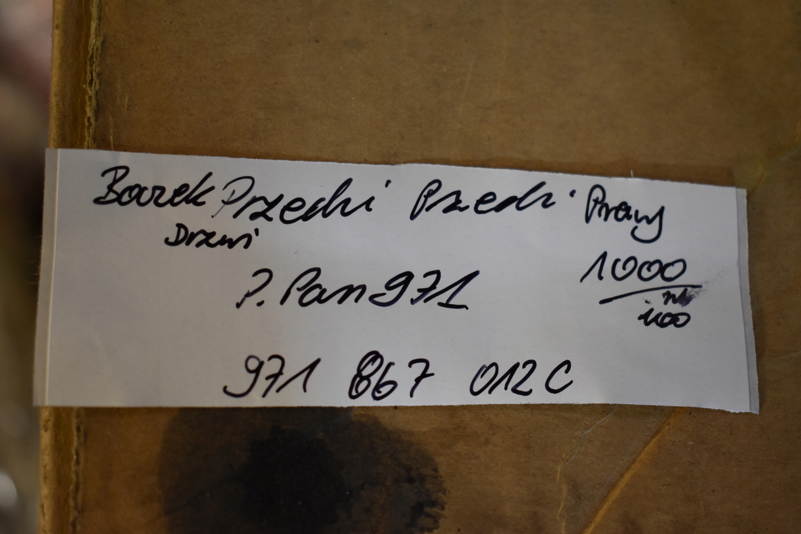 side door front right PORSCHE PANAMERA 971 1